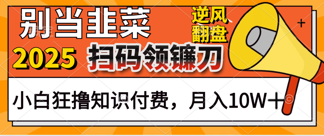 2025别当韭菜！扫码领镰刀！小白狂撸知识付费月入10W+聚合网创-网创项目资源站-副业项目-创业项目-搞钱项目聚合网创
