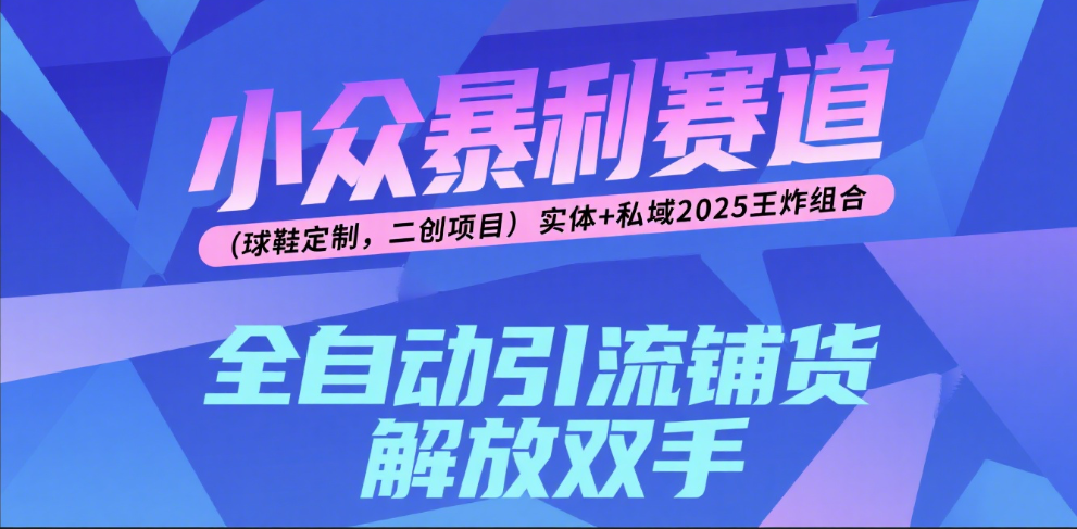 楠—小众暴利赛道（球鞋定制，二创项目）实体+私域2025王炸组合聚合网创-网创项目资源站-副业项目-创业项目-搞钱项目聚合网创