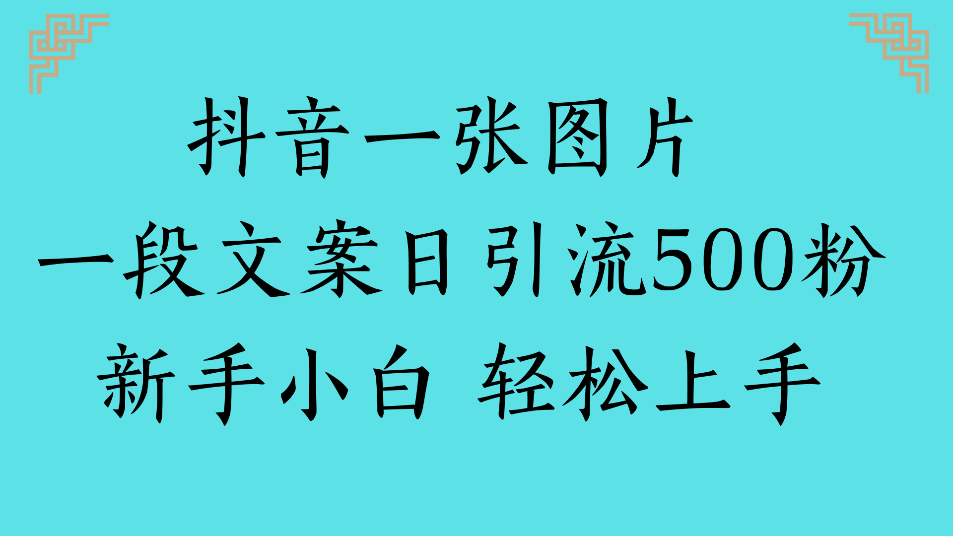 抖音一张图片 一段文案日引流500粉新手小白 轻松上手聚合网创-网创项目资源站-副业项目-创业项目-搞钱项目聚合网创