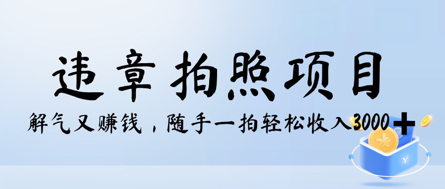 解气又赚钱的项目，最新违章拍照赚钱，随手一拍，轻松收入3000+聚合网创-网创项目资源站-副业项目-创业项目-搞钱项目聚合网创